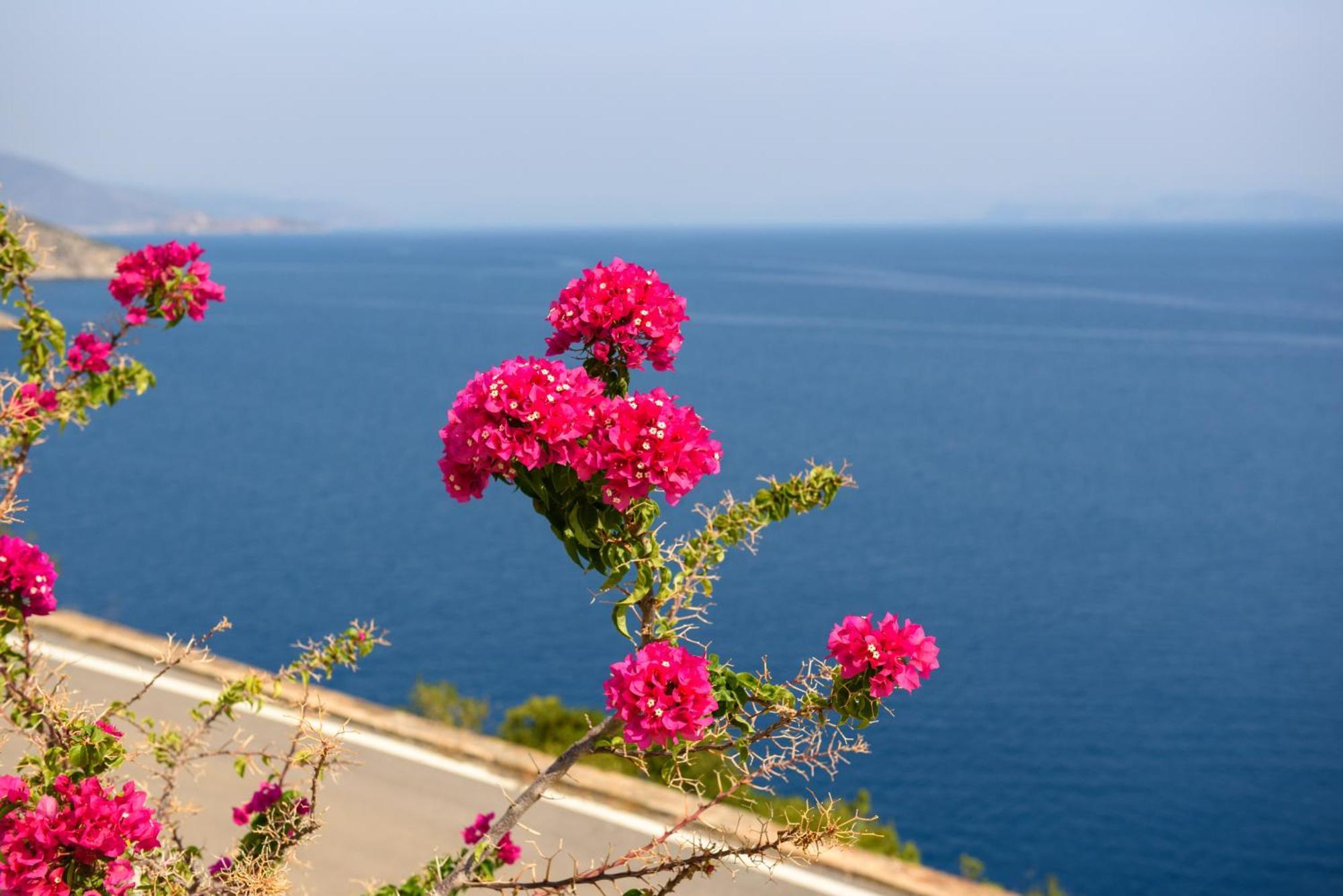 Nefeles Arkadiko Chorio Βίλα Εξωτερικό φωτογραφία